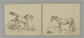 TWO DRAWINGS OF HORSES.                           