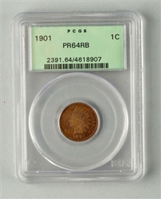 1901 INDIAN HEAD CENT.                            