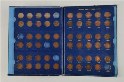 INDIAN HEAD  CENT COLLECTION.                     