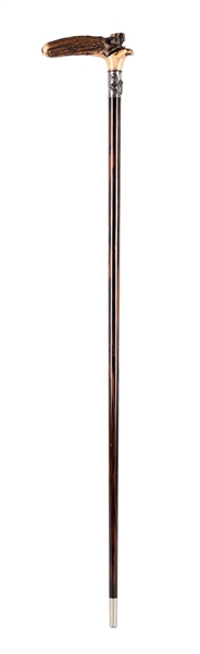 WALKING STICK WITH STAG HORN HANDLE.