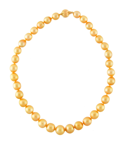 14K YELLOW GOLD & GOLDEN SOUTH SEA PEARL NECKLACE.