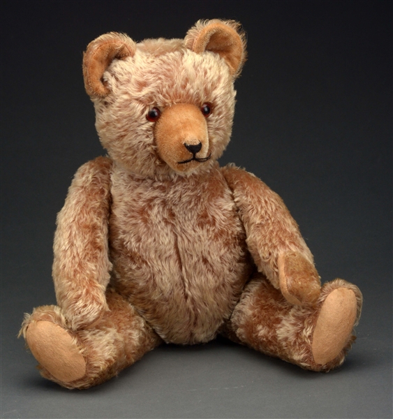 GERMAN TEDDY BEAR. 