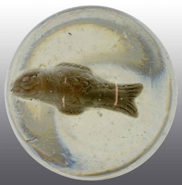 SULPHIDE FISH MARBLE.                             