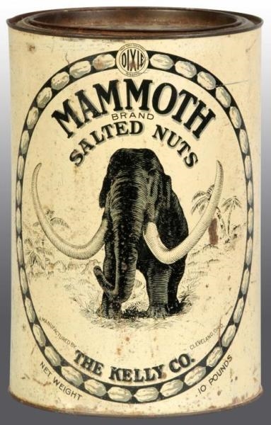 MAMMOTH SALTED NUTS COUNTER TIN.                  
