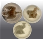LOT OF 3: SULFIDE MARBLES.                        