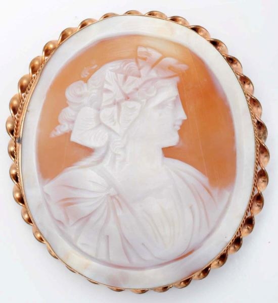 LARGE SHELL CAMEO PIN IN GOLD FRAME.              