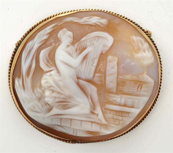LARGE OVAL SHELL CAMEO PIN.                       