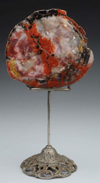 PETRIFIED WOOD WITH STAND.                        