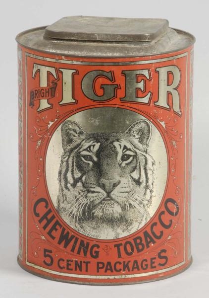 LARGE TIGER CHEWING TOBACCO TIN.                  