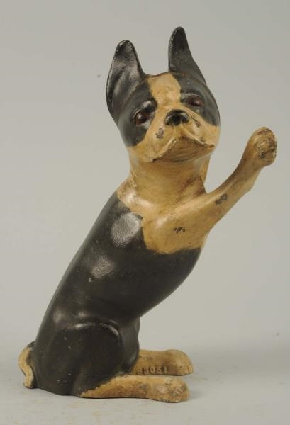 CAST IRON BOSTON TERRIER WITH PAW UP DOORSTOP.    