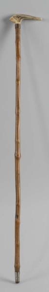 SIMPLE STAG HANDLED CANE.                         