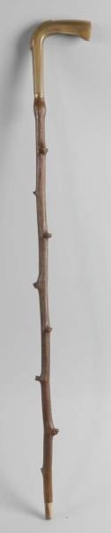 CANE WITH HORN HANDLE.                            