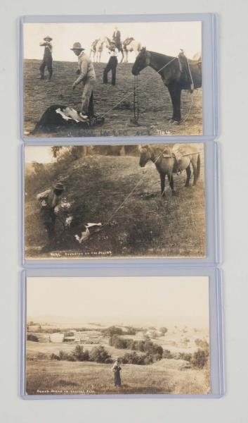 LOT OF 3: S.D. BUTCHER REAL PHOTO POSTCARDS.      