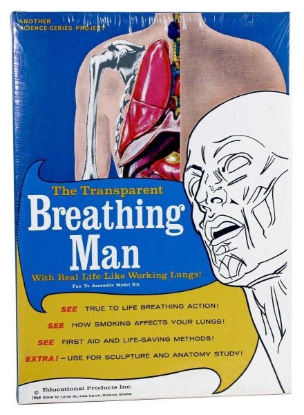THE TRANSPARENT BREATHING MAN.                    