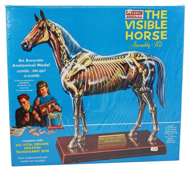 THE VISIBLE HORSE MODEL KIT.                      