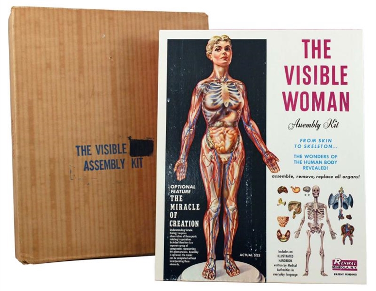 THE VISIBLE WOMAN ASSEMBLY KIT.                   