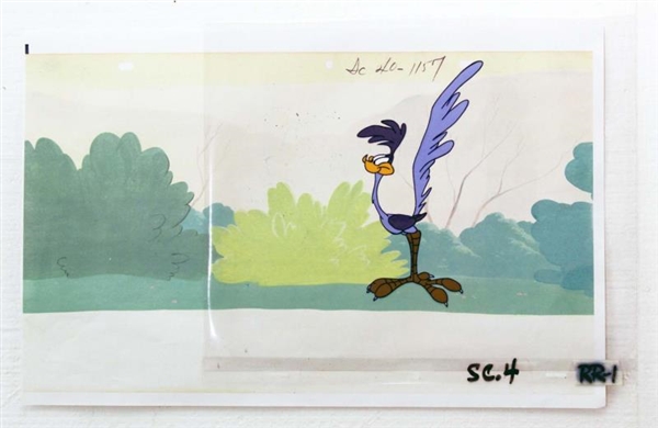 ROAD RUNNER PRODUCTION ANIMATION CELL             