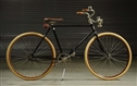 FAWN MENS BICYCLE.                               
