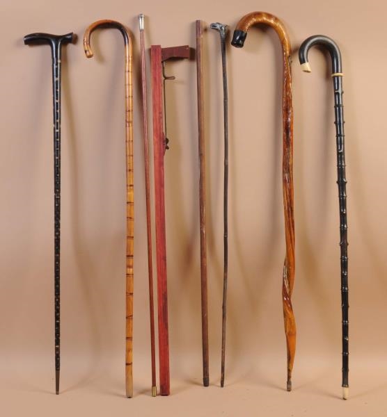 LOT OF 8: CANES.                                  