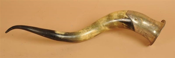 LARGE HORN WITH INSCRIBED METAL PLATE.            