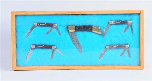 DISPLAY CASE OF 5 KNIVES.                         