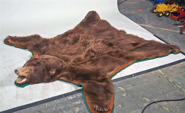 BROWN GRIZZLY BEAR FUR RUG W/ HEAD & CLAWS INTACT 