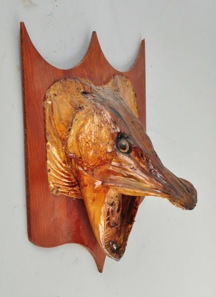 MUSKIE HEAD MOUNTED TO WOOD PLAQUE.               