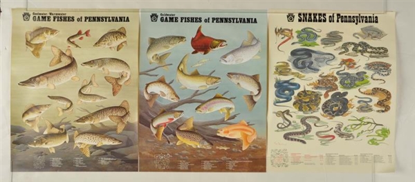 LOT OF 6:  FISHING POSTERS.                       