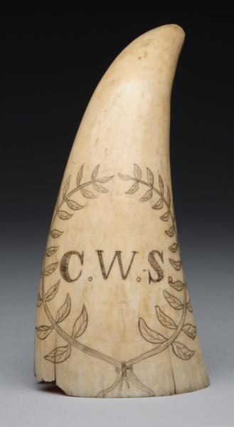 AMERICAN SCRIMSHAW WHALE TOOTH                    