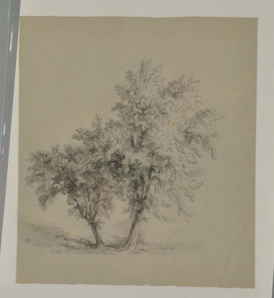 PENCIL AND CHALK "TREE STUDY" BY XANTHUS SMITH.   
