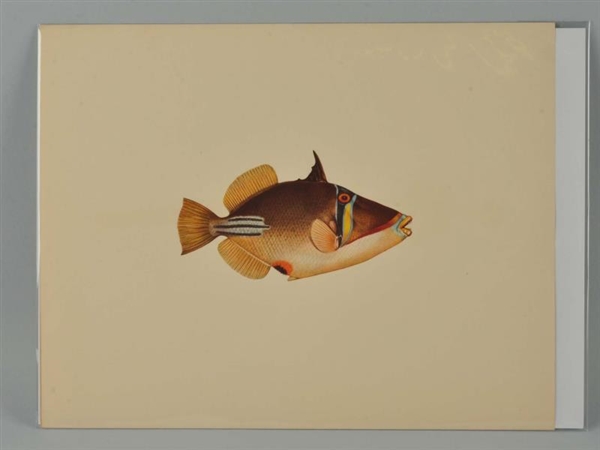 LITHOGRAPH OF A FISH.                             