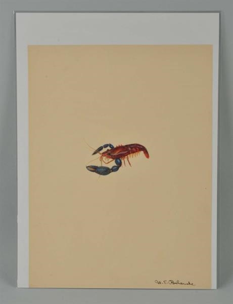LITHOGRAPH OF A LOBSTER.                          