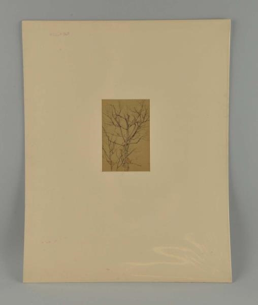 DOUBLE SIDED, GRAPHITE "UPPER BRANCHES" BY WYANT. 