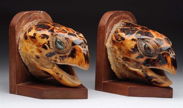 PAIR OF SEA TURTLE HEAD BOOKENDS.                 