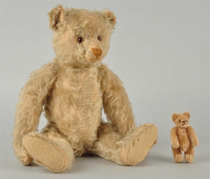 2 VINTAGE STEIFF BEARS FROM A NEW HAMPSHIRE FAMILY