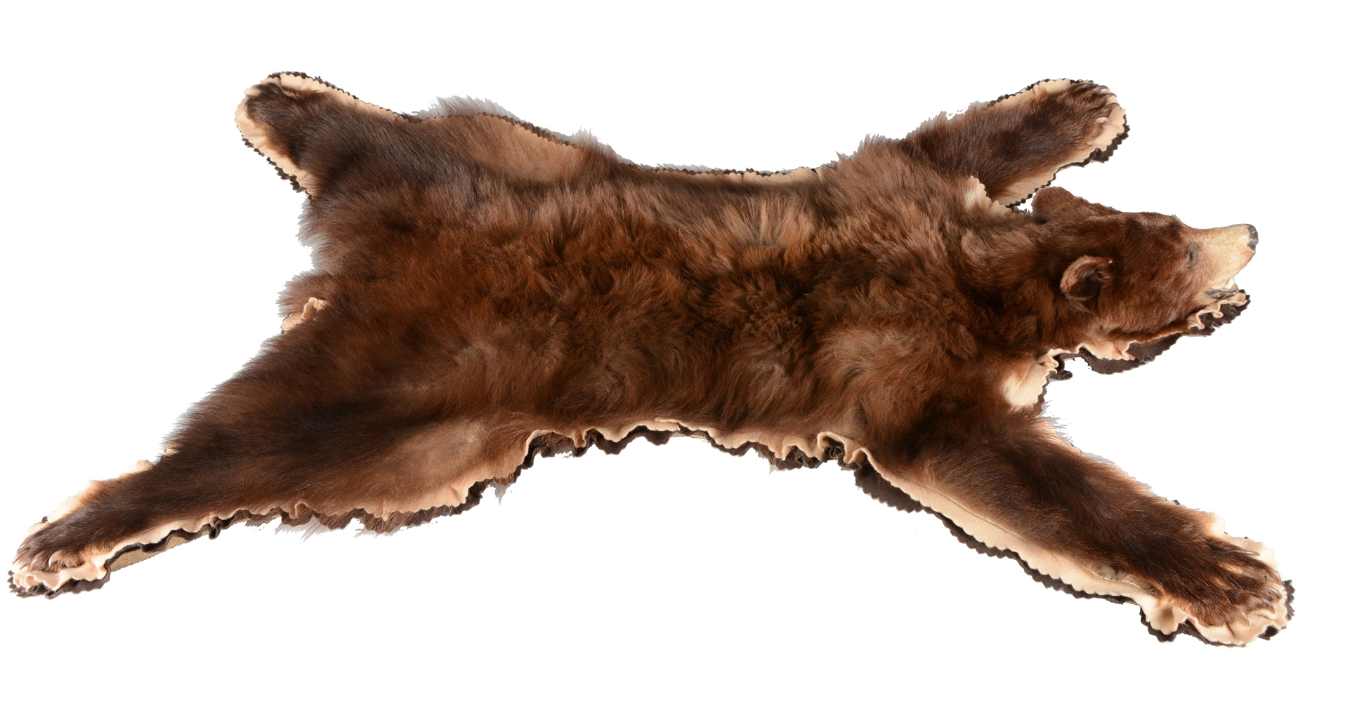 BLACK BEAR SKIN RUG. 