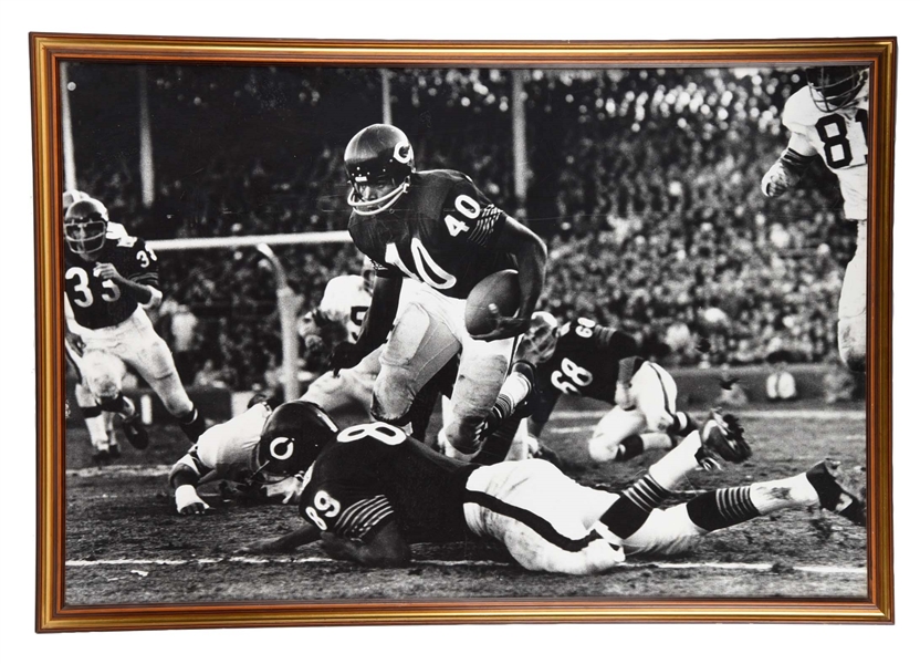 LARGE FRAMED PHOTOGRAPH OF HOF GALE SAYERS.  