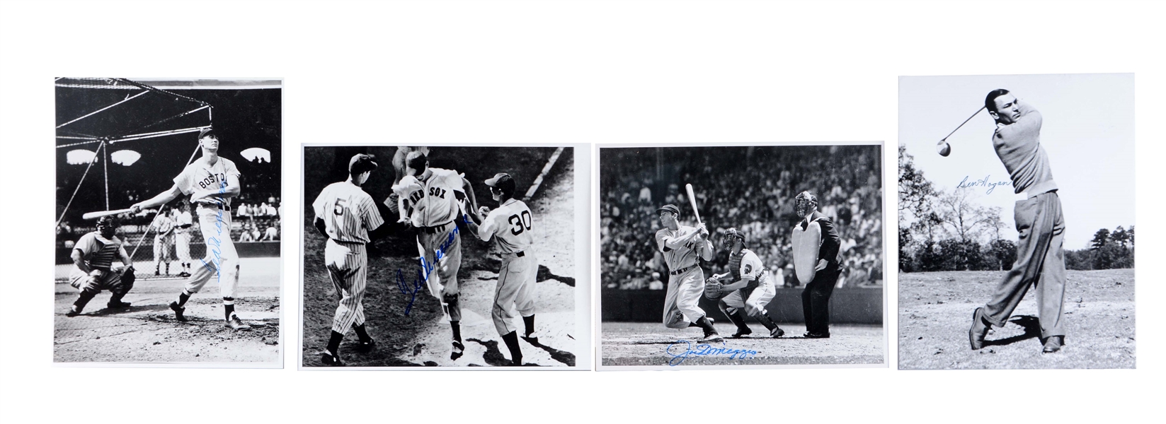 LOT OF 9: LARGE FORMAT SIGNED PHOTO COLLECTION INCLUDING WILLIAMS & DIMAGGIO.
