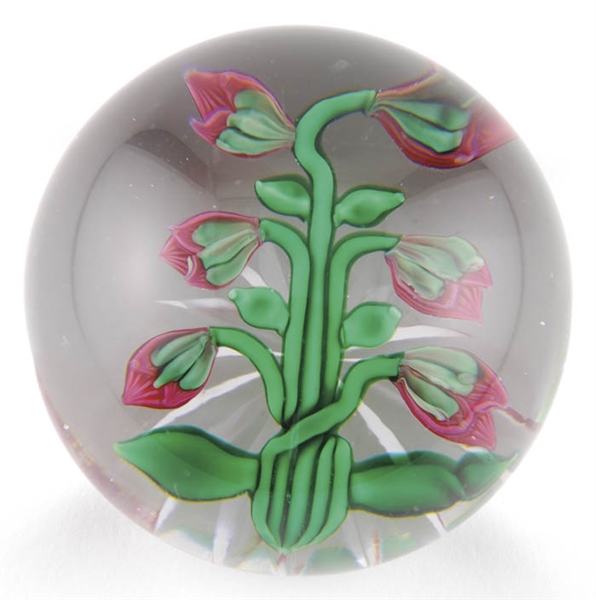 BACCARAT 6 RED TULIP BUDS PAPERWEIGHT                                                                                                                                                                   