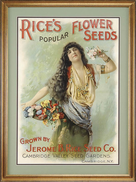 RICES FLOWER SEEDS POSTER                                                                                                                                                                              