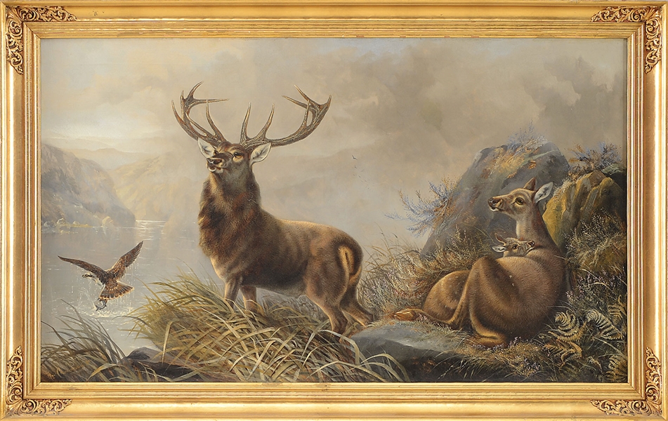 ROBERT CLEMINSON OOC, STAG SCENE                                                                                                                                                                        