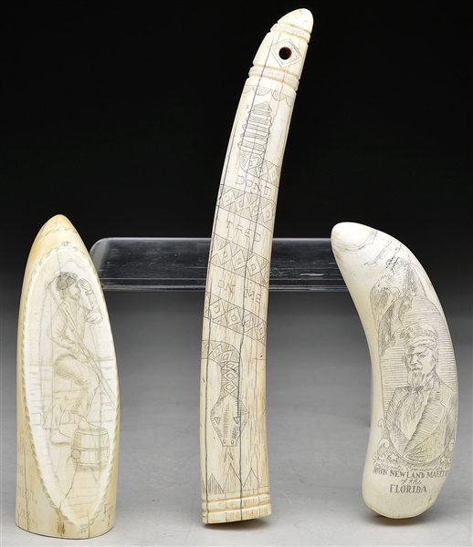 TWO SCRIMSHAW TEETH & A TUSK                                                                                                                                                                            