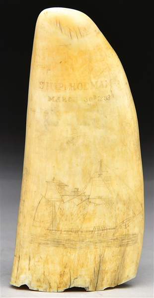 SCRIMSHAW TOOTH SHIP RODMAN                                                                                                                                                                             