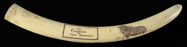 TUSK: SHIP, GAZELLE OF NEW BEDFORD                                                                                                                                                                      