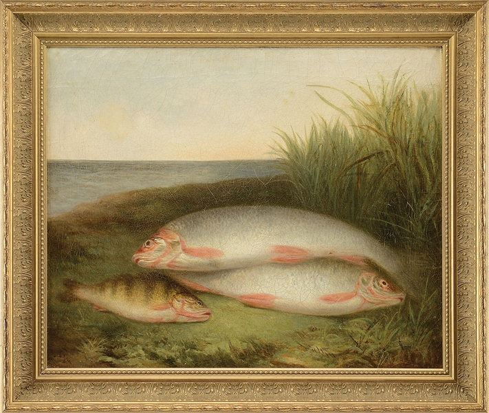 OOC FISH SGND & 1883                                                                                                                                                                                    