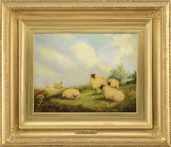 OOC SHEEP BY T.G. WAINWRIGHT                                                                                                                                                                            
