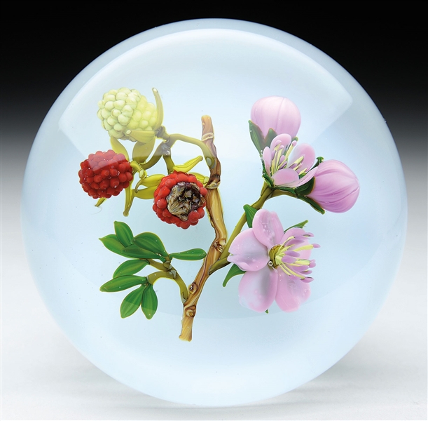 PAUL STANKARD LIFE CYCLE RASPBERRY PAPERWEIGHT.                                                                                                                                                         