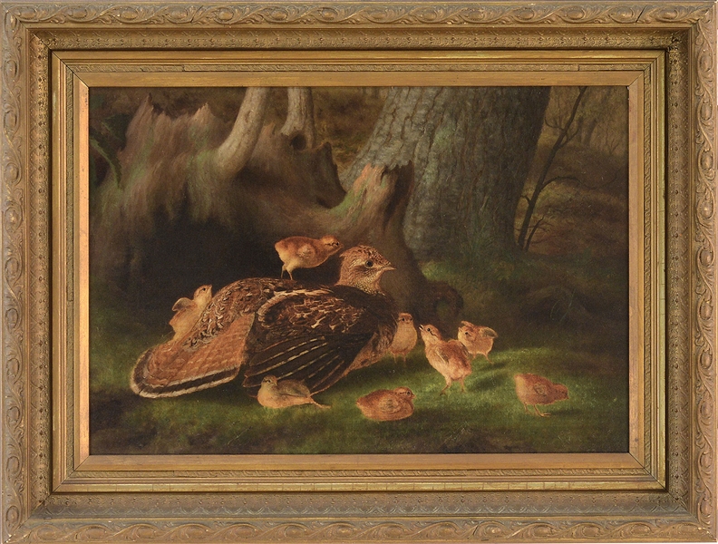 JAMES LONG SCUDDER (AMERICAN, 1836-1881) RUFFED GROUSE WITH CHICKS                                                                                                                                      