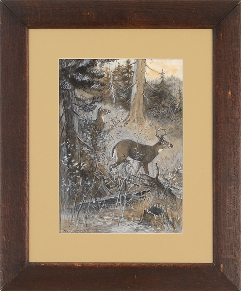 H. BOYLSTON DUMMER (AMERICAN, 1878-1945) ILLUSTRATION OF A DOE AND BUCK IN A FOREST                                                                                                                     