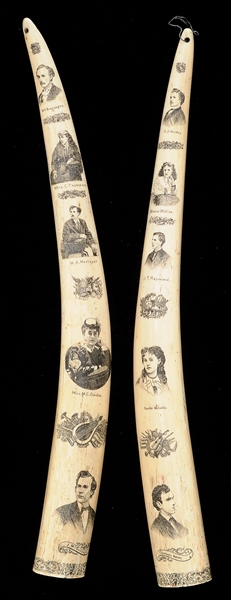 ESA - PAIR OF INCREDIBLE MASSIVE ENGRAVED WALRUS TUSKS SIGNED NATHANIEL FINNEY.                                                                                                                         